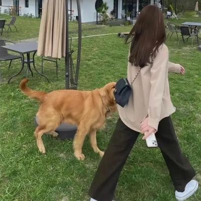 大猿魂特别篇